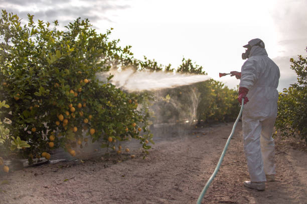 Best Residential Pest Control  in Lake Monticello, VA