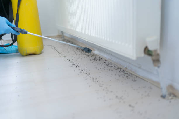 Pest Control Cost in Lake Monticello, VA